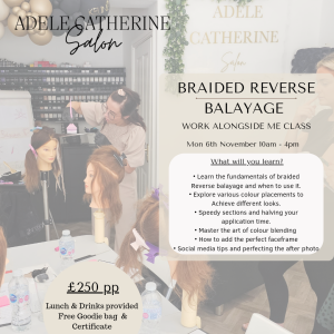 Braided Reverse balayage – Monday 6th November 10am – 4pm